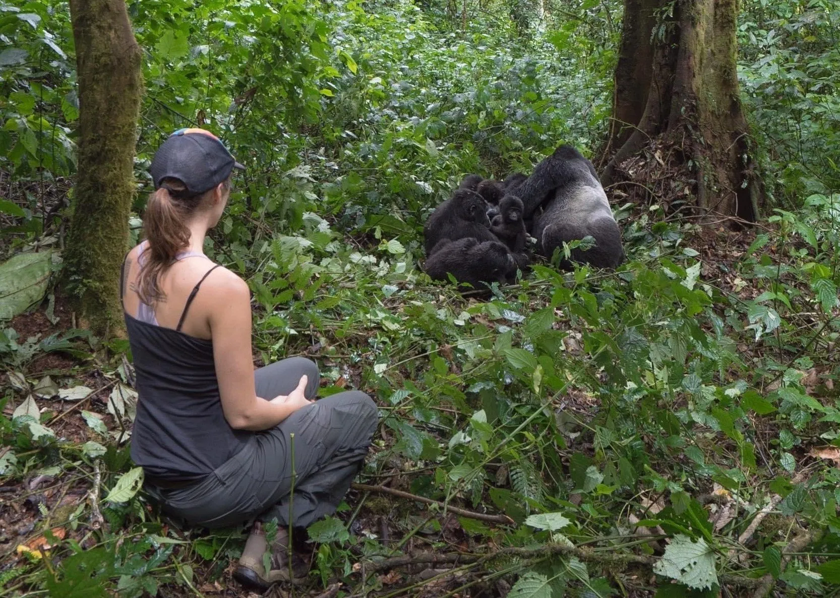 Bwindi Gorilla Express gallery