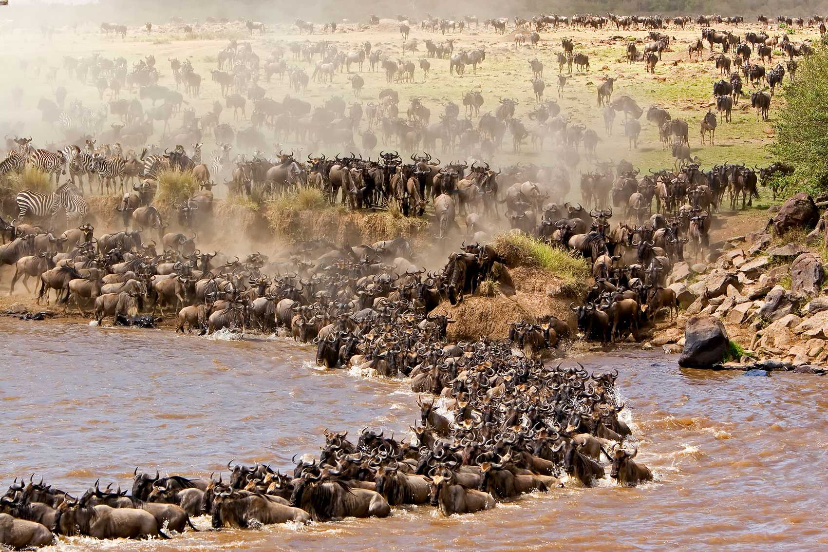 Mara River, Maasai Mara