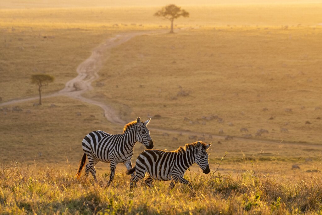 Uganda · Rwanda · Kenya