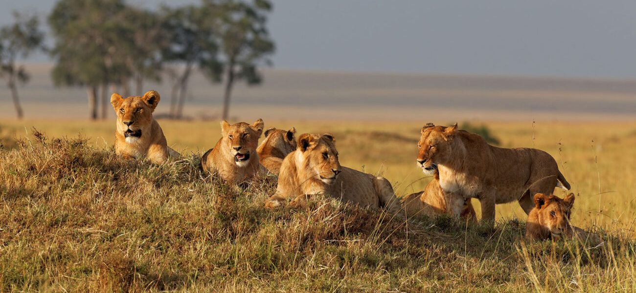 Murchison Falls NP